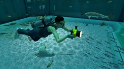 画像ギャラリー No.008のサムネイル画像 / 沖縄美ら海水族館「黒潮の海」がPS Home内でバーチャル再現