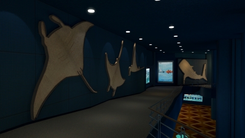 画像ギャラリー No.009のサムネイル画像 / 沖縄美ら海水族館「黒潮の海」がPS Home内でバーチャル再現