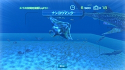 画像ギャラリー No.013のサムネイル画像 / 沖縄美ら海水族館「黒潮の海」がPS Home内でバーチャル再現