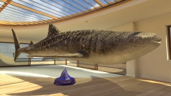 画像ギャラリー No.014のサムネイル画像 / 沖縄美ら海水族館「黒潮の海」がPS Home内でバーチャル再現