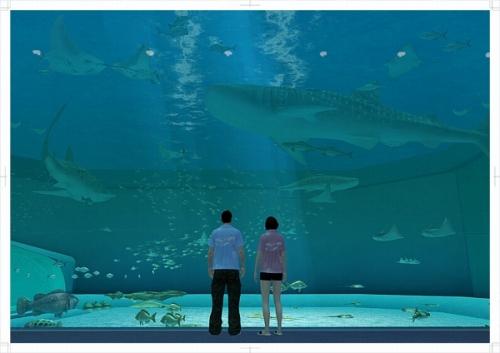 画像ギャラリー No.015のサムネイル画像 / 沖縄美ら海水族館「黒潮の海」がPS Home内でバーチャル再現