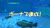 画像ギャラリー No.032のサムネイル画像 / 沖縄美ら海水族館「黒潮の海」がPS Home内でバーチャル再現