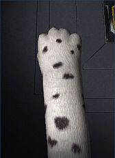 ꡼ No.004Υͥ / ֿζ3ץ꡼⡼ɤǤжɿ˱ƸꥢХ륤٥