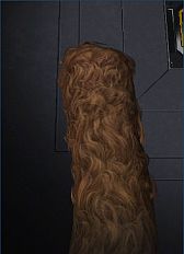 ꡼ No.005Υͥ / ֿζ3ץ꡼⡼ɤǤжɿ˱ƸꥢХ륤٥