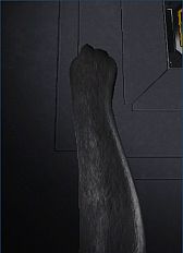 ꡼ No.008Υͥ / ֿζ3ץ꡼⡼ɤǤжɿ˱ƸꥢХ륤٥