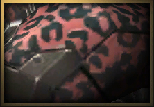 ꡼ No.005Υͥ / Ŵŵդν鿴ԥѥå侩ѥåɤȯ