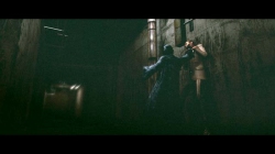 ������#010�Υ���ͥ���/�֥Х����ϥ�����5�ס���ξ��ͥ��������󥰤���ο�ʪ�������ơ��������ӡɤΥ����꡼�󥷥�åȤ����