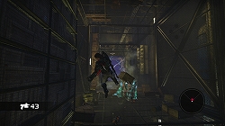 ꡼ No.007 | ֲʡȥ󥰡ɤ¤դˤʤ륢󥲡ࡤ֥Х˥å ޥɡפΥӥ塼Ǻ