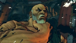画像集#023のサムネイル/PS3/Xbox 360版「ストリートファイターIV」では“剛拳”が使用可能に
