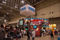 #060Υͥ/1220/21ĥåǳŤΡ֥ץե2009ץݡ