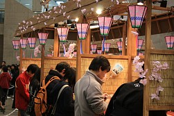 #086Υͥ/1220/21ĥåǳŤΡ֥ץե2009ץݡ