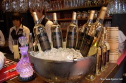 ꡼ No.019 | ֥륤ΤФϥ٥뤬夬äס517ͽǽˤʤLUIDA'S BARץ٥륢åľȯɽͤݡ