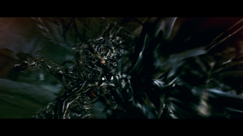 #004Υͥ/֥Хϥ5ס꡼Ƕʡˤΰ۷Υ꡼㡼