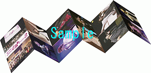 ꡼ No.003Υͥ / JAPAN &#10084;Festival2פDVDGAMECITYפ򳫻