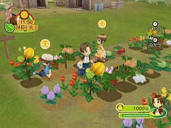 ������#006�Υ���ͥ���/Wii���Ҿ�ʪ�� �勞�勞���˥ޥ�ޡ����ס����������Ȥ�ȯ�䵭ǰ�ɻ���ۿ���