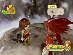 ������#015�Υ���ͥ���/Wii���Ҿ�ʪ�� �勞�勞���˥ޥ�ޡ����ס����������Ȥ�ȯ�䵭ǰ�ɻ���ۿ���