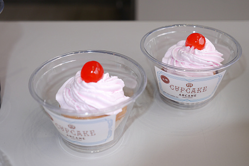 ꡼ No.012 | ֥꡼֡쥸ɡפΥ˥ArcaneۿϤ򡤥˥ϡոǽˤArcane DayץݡȤϤ