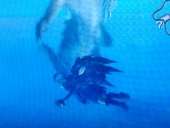 ꡼ No.010 | TGS 2008029ϡ֥󥹥ϥ󥿡3ʥȥ饤ˡץץ쥤ݡȡʥࡼӡդˡWii⥳Ǥȿ󥹥ƥץ쥤եˤĤ