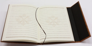 画像ギャラリー No.017のサムネイル画像 / モンハングッズ盛り沢山,「モンハンフェスタ'09」初売り情報を公開