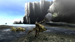 画像ギャラリー No.010のサムネイル画像 / 「モンスターハンター3（トライ）」をこれから始める初心者ハンターに贈る入門ガイド第2弾：武器やモンスターの特徴などを紹介