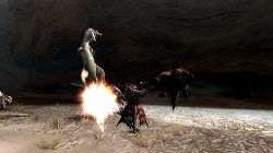 画像ギャラリー No.011のサムネイル画像 / 「モンスターハンター3（トライ）」をこれから始める初心者ハンターに贈る入門ガイド第2弾：武器やモンスターの特徴などを紹介