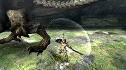 画像ギャラリー No.015のサムネイル画像 / 「モンスターハンター3（トライ）」をこれから始める初心者ハンターに贈る入門ガイド第2弾：武器やモンスターの特徴などを紹介