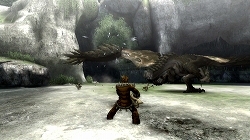 画像ギャラリー No.029のサムネイル画像 / 「モンスターハンター3（トライ）」をこれから始める初心者ハンターに贈る入門ガイド第2弾：武器やモンスターの特徴などを紹介