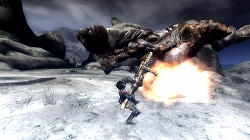 画像ギャラリー No.030のサムネイル画像 / 「モンスターハンター3（トライ）」をこれから始める初心者ハンターに贈る入門ガイド第2弾：武器やモンスターの特徴などを紹介