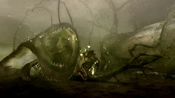 画像ギャラリー No.068のサムネイル画像 / 「モンスターハンター3（トライ）」をこれから始める初心者ハンターに贈る入門ガイド第2弾：武器やモンスターの特徴などを紹介