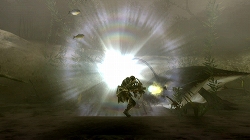 画像ギャラリー No.069のサムネイル画像 / 「モンスターハンター3（トライ）」をこれから始める初心者ハンターに贈る入門ガイド第2弾：武器やモンスターの特徴などを紹介