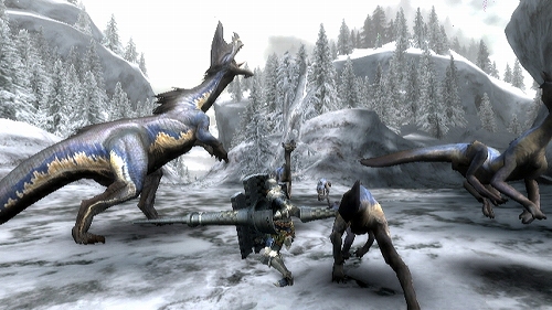 画像ギャラリー No.073のサムネイル画像 / 「モンスターハンター3（トライ）」をこれから始める初心者ハンターに贈る入門ガイド第2弾：武器やモンスターの特徴などを紹介