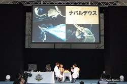 ꡼ No.031 | 彣Ǥ4000ͤΥեˬ줿֥󥹥ϥ󥿡ե09ʡݡȤ2