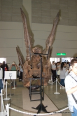 ꡼ No.036Υͥ / 彣Ǥ4000ͤΥեˬ줿֥󥹥ϥ󥿡ե09ʡݡȤ2