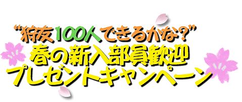 ���������꡼ No.002�Υ���ͥ������ / �֥��ϥ����פ˿�������������/�Ҳ𤷤��ͤ������ǥץ쥼��Ȥ�