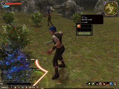 ꡼ No.021 | ȥ󥾥åܥإåɥåɤ꤬뿷MMORPG֥륫ǥפCBTץ쥤ݡȤ4Gamer˷Ǻ