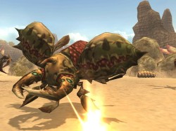 ���������꡼ No.005�Υ���ͥ������ / �֥��륫�ǥ����������פ��������åץǡ��ȡ���٥륭��å׳����俷�ޥåפʤɡ������Ǥ���������