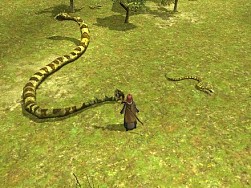 ���������꡼ No.001�Υ���ͥ������ / ���륫�ǥ��������������åץǡ��ȡ��Ƽ省���ڡ����»�