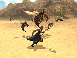 ���������꡼ No.002�Υ���ͥ������ / ���륫�ǥ��������������åץǡ��ȡ��Ƽ省���ڡ����»�