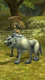 ���������꡼ No.003�Υ���ͥ������ / ���륫�ǥ��������������åץǡ��ȡ��Ƽ省���ڡ����»�