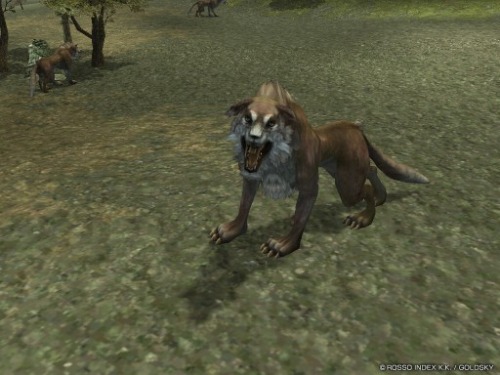 ���������꡼ No.002�Υ���ͥ������ / �֥��륫�ǥ����������ס��ȥץ�����ɤ��㤦�ȥ����ƥब�ץ쥼���