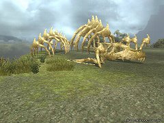 ꡼ No.007Υͥ / ֥륫ǥ721˼»ͽΥåץǡȾ󡣿ޥåפо줹붯Ϥʥɥ饴ʤɤݤơ쥢褦