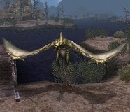 ꡼ No.007 | 褤о졣֥륫ǥסɥ饴ãȤƮ29Υ꡼󥷥åȤǳǧ褦