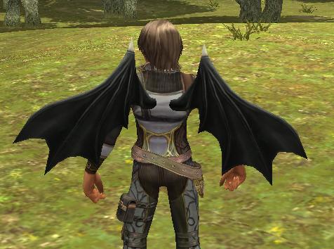 ���������꡼ No.002�Υ���ͥ������ / �֥��륫�ǥ����������ס���Ʈ�˴ؤ���Х��Ĵ���������»�