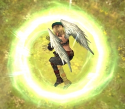 ���������꡼ No.003�Υ���ͥ������ / �֥��륫�ǥ����������ס�5000FP�������Ȥ˥����ƥ�ץ쥼���