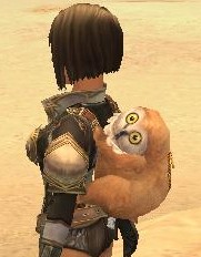 画像ギャラリー No.001のサムネイル画像 / 「アルカディアサーガ」，サンタ帽子などが手に入るキャンペーン