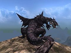 画像ギャラリー No.002のサムネイル画像 / 「アルカディアサーガ」の新ペットとして凶暴な黒い竜「リプカ」が登場