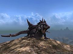 画像ギャラリー No.003のサムネイル画像 / 「アルカディアサーガ」の新ペットとして凶暴な黒い竜「リプカ」が登場