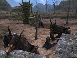 ꡼ No.009 | ֥륫ǥסƥġ֥ȥͥ⶯׼