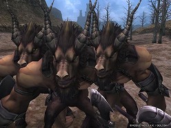 ꡼ No.010 | ֥륫ǥסƥġ֥ȥͥ⶯׼