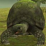 画像ギャラリー No.008のサムネイル画像 / 「アルカディアサーガ」,ペットをモデルにした6種類のアクセサリーが新登場